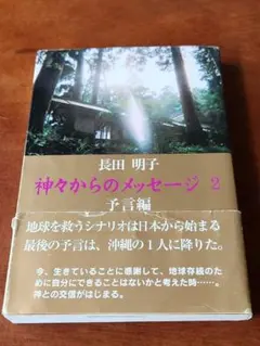 神々からのメッセージ 2(予言編) - メルカリ