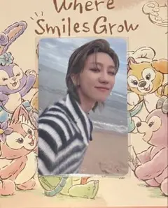 SEVENTEEN パッケージギフト ポストカード ミンハオ SEVENTEEN RIGHT HERE パッケージギフト ポストカードミンハオ