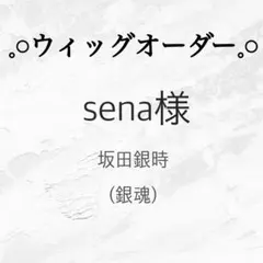 sena様 専用ページ ※~3/23 (マネキン無)