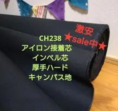 Item thumbnail for item 9026af8f-7723-49fd-aa8b-2658092e0a5e