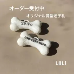 Item thumbnail for item b0605cd6-556d-41d6-bac7-58aaee7f3929