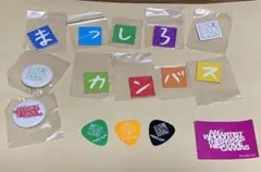 藤木直人　ツアーグッズ　15点セット