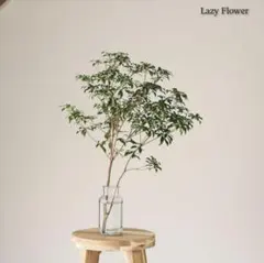 アセビ 60cm 2本 枝物 あせび 観葉植物 生花 インテリア