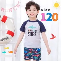 キッズ水着　男の子　ラッシュガード　半袖　サメ柄　プール　海　水遊び　魚　120