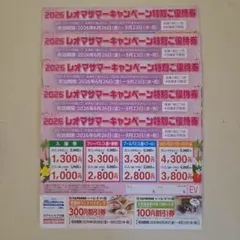 2026年夏の特別入園券・フリーパス レオマワールド レオマリゾート 5枚