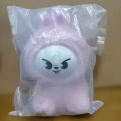 2026年最新】skzoo リノ leebit ぬいぐるみの人気アイテム - メルカリ