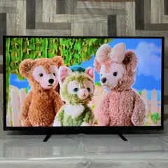 Rio. さん専用ハイセンス50V型4K対応液晶テレビ 外付けHDD録画対応新品