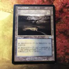 MTG 旧枠 TOR 汚れた原野 / Tainted Field