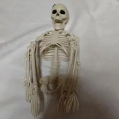 ガイコツ 骸骨 フィギュア 紐付き ホワイト 白 ハロウィン 匿名配送 可動