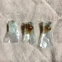 めじるしアクセサリー なめこ ガチャガチャ ガシャポン