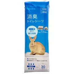 Item thumbnail for item c14142c7-51d5-4e66-a0ad-c47951cec1a2