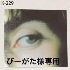 びーがた様 リクエスト 2点 まとめ商品