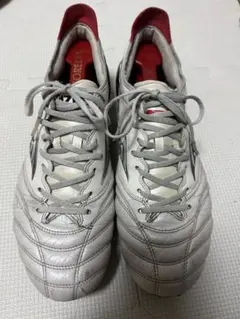 ミズノモレリアネオ3