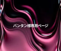 バンタン様専用ページ
