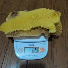 ミツロウ キャンドル