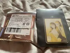 Item thumbnail for item 644b019d-2339-4288-84bf-8bef443a384f