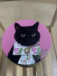 cacaocat 空き缶 美品