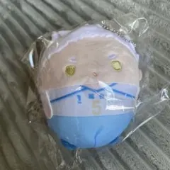 ハイキュー!! くじメイト ぬいくじ C賞 星海