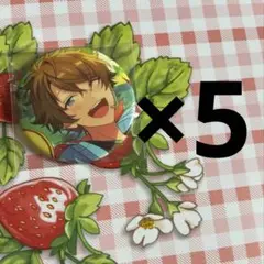 高峯翠 イベコレ缶バッジ idol 5点
