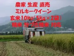 玄米10kg令和7年産新米ミルキークイーン 白米 分搗き米 無洗米 対応のサムネイル