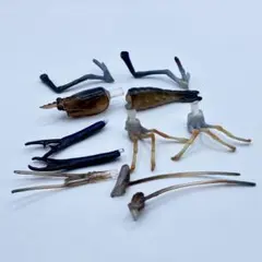 チョコQ 日本の動物 第10弾 コンジンテナガエビ【海洋堂】ブック有