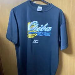 Item thumbnail for item 92a4dde3-f5fe-47eb-b4fe-b171390da78c