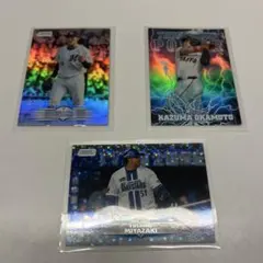 Item thumbnail for item cb8f59f8-1ecc-48c6-9ec7-f9e0b4404a37