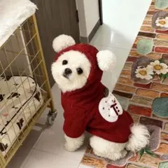 【新品未使用】もこもこ ペット用 防寒パーカー｜小型犬用｜Mサイズ｜冬服