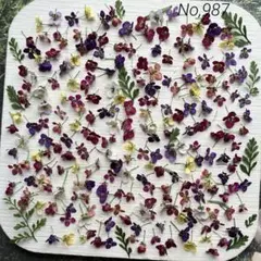 No,987 アリッサム210輪＋α　ドライフラワー花材
