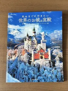 カリメルえいけん様 リクエスト 2点 まとめ商品