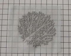 minaperhonen☆forest dot　ミナペルホネンハギレ