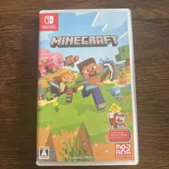 Minecraft Nintendo Switch版