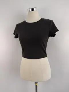 ⭐︎GU⭐︎春夏先取り⭐︎リブニット⭐︎ショート丈半袖ミニTシャツM【中古】b67