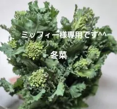 ミッフィー様専用です^^