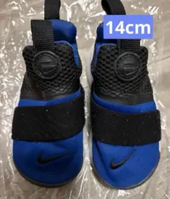 Item thumbnail for item 252f8f06-6078-4503-9df0-d7c121dc1958