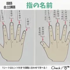 さくら《プロフ必読》様 リクエスト 3点 まとめ商品