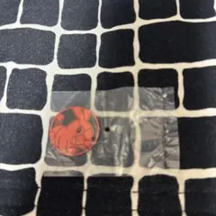 ポケモンコインコレクション 第6弾　ポカブ