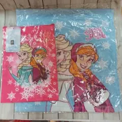 アナ雪⭐巾着&タオル