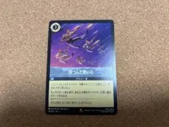 ロルカナ 持つんだ熱い心 2枚セット - メルカリ
