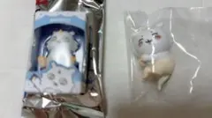 ちいかわ あのこ ハグコット　チョコボックス