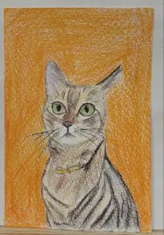 色鉛筆画 name:ちくわ(左)といなり(右) ハガキサイズ 猫 原画 - メルカリ