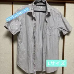 THE SHOP TK 半袖シャツ ストライプ Lのサムネイル