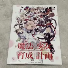 2026年最新】魔法少女育成計画 クリアファイルの人気アイテム - メルカリ