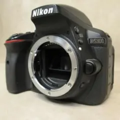 2026年最新】Nikon D5300 ジャンクの人気アイテム - メルカリ