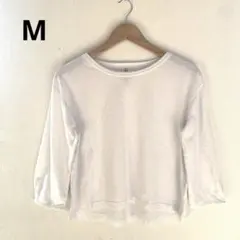 Item thumbnail for item e23cb0b8-f71e-4702-9469-c7b36cfcf9ae