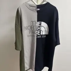希少　THE NORTH FACE PURPLE LABEL × ナナミカ　L