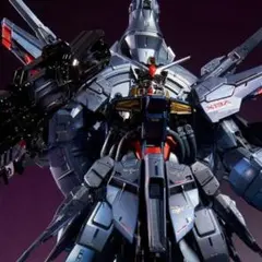 MG ジャスティスガンダム スペシャルコーティング 未組立 プレバン