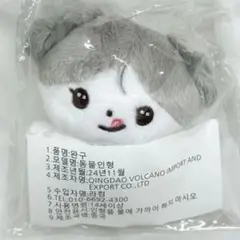 &team K ケイ 10cm ぬいぐるみ マスター 늑대켕