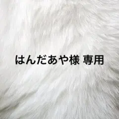 はんだあや様 専用