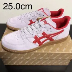 ASICS×HAY SKYHAND OG ライラック スカーレット 25.0cmのサムネイル